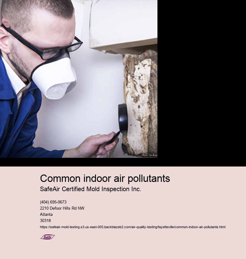 Common indoor air pollutants