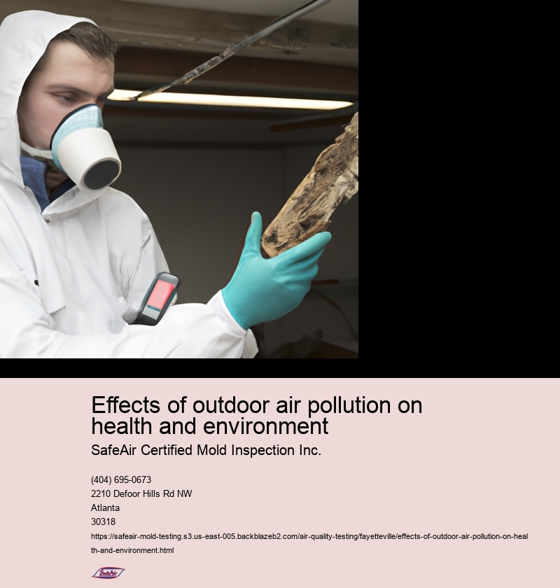 Effects of outdoor air pollution on health and environment