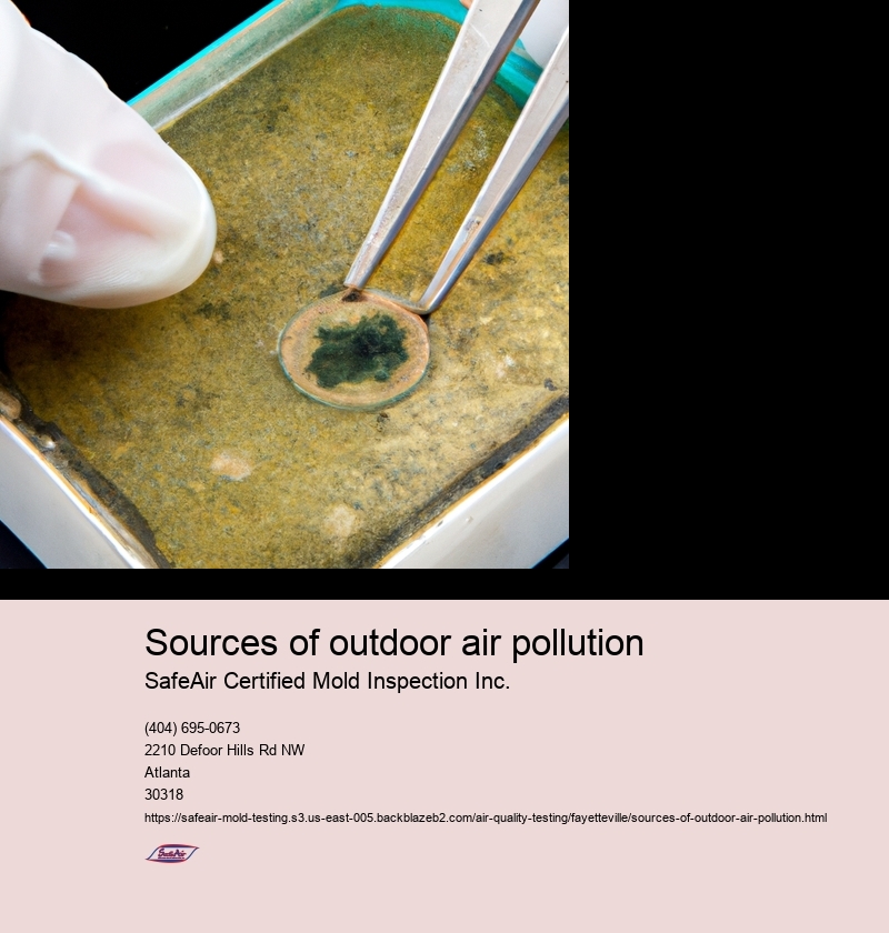 Sources of outdoor air pollution
