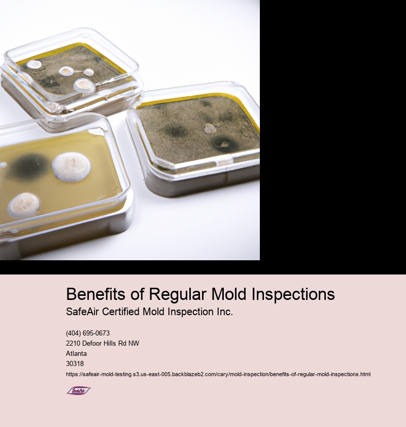 Benefits of Regular Mold Inspections