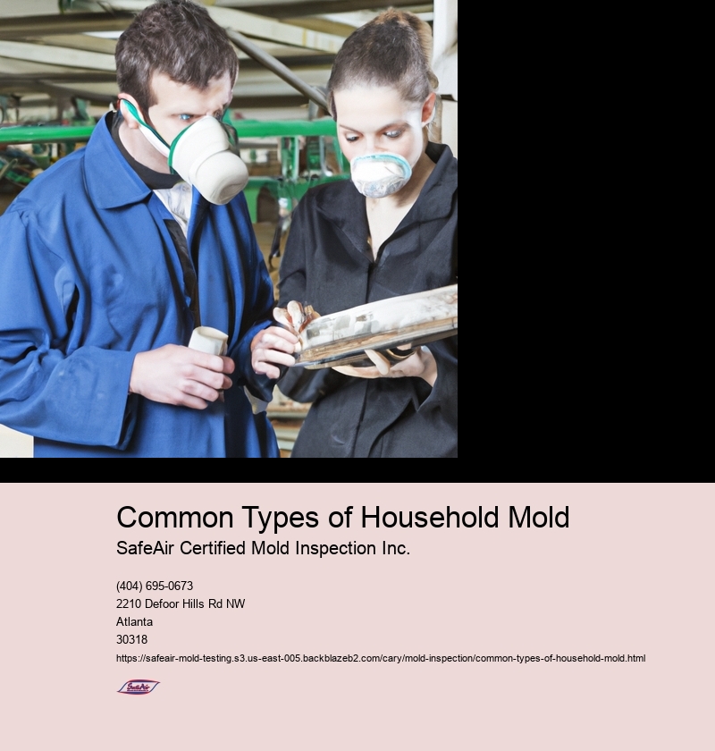 Common Types of Household Mold