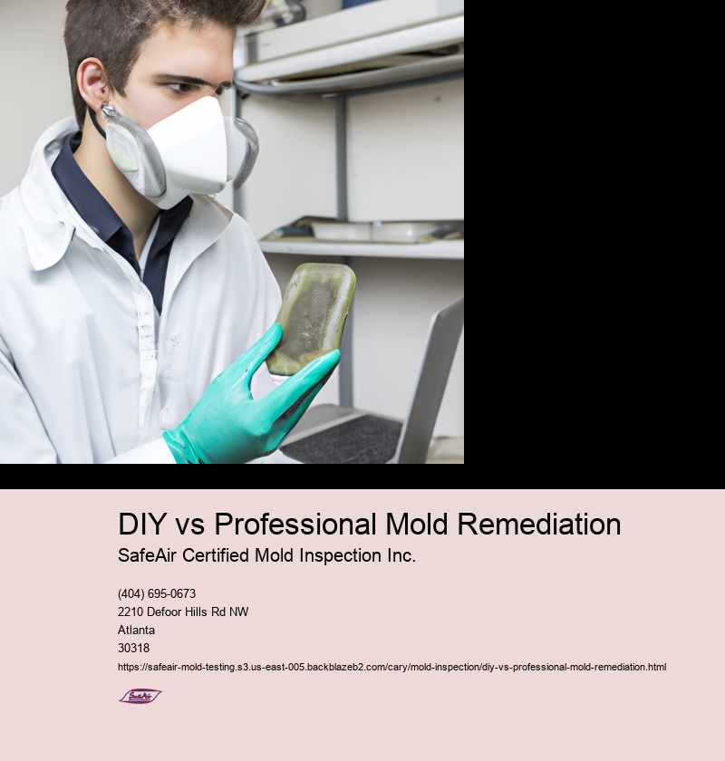 DIY vs Professional Mold Remediation