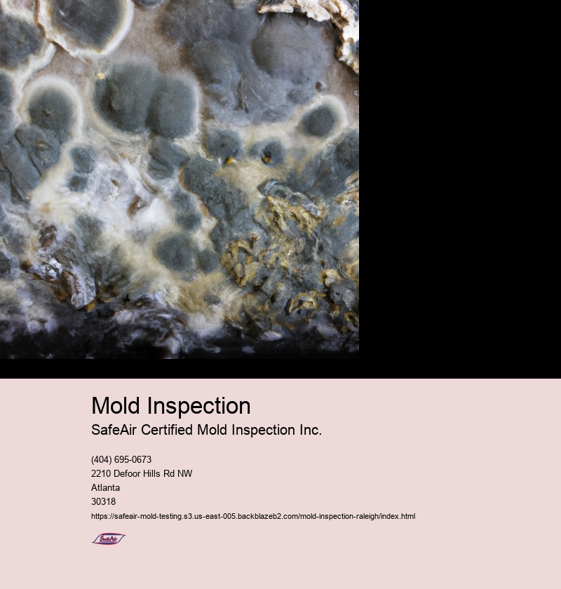 Mold Inspection