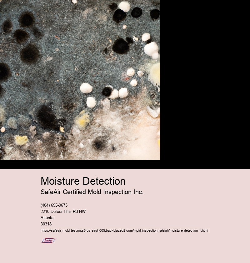 Moisture Detection