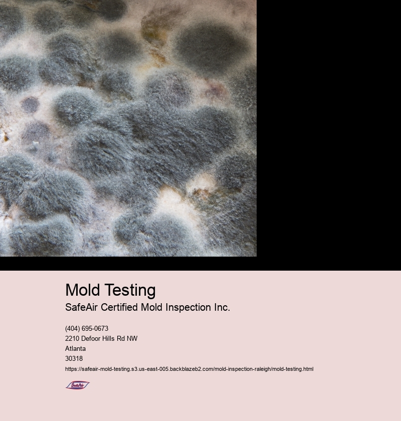 Mold Testing