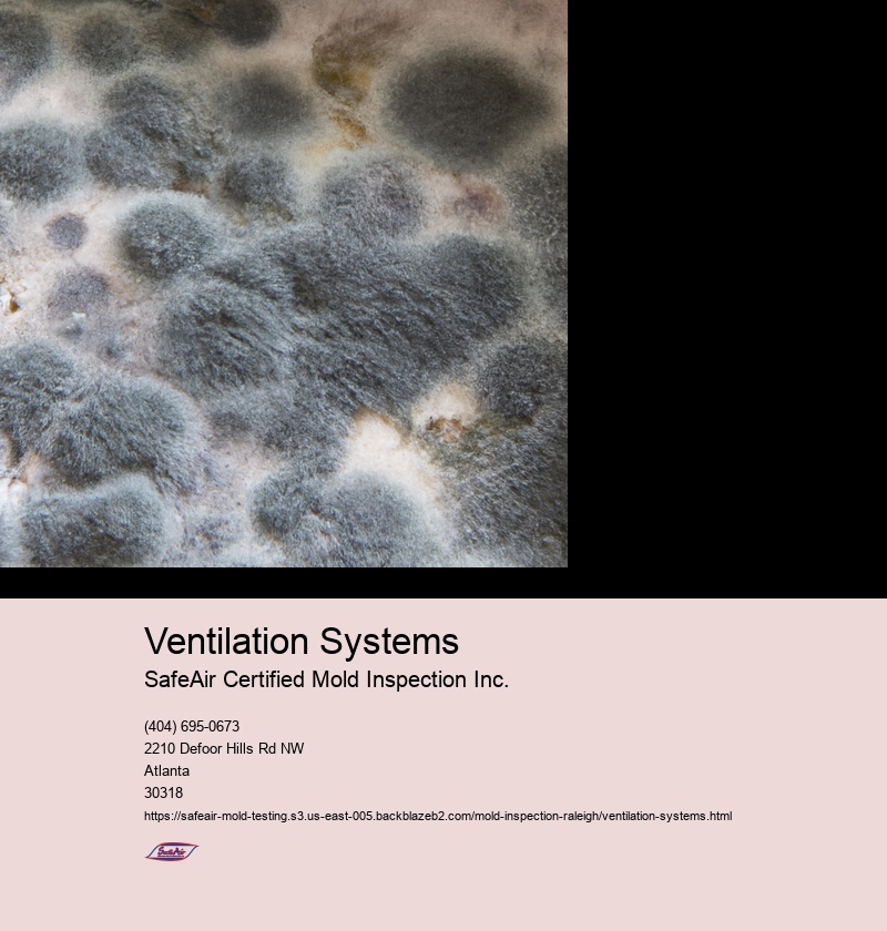 Ventilation Systems
