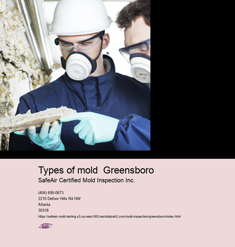 Types of mold  Greensboro