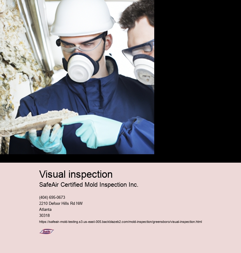 Visual inspection