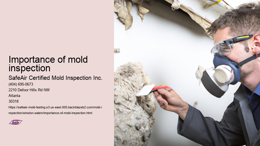 Importance of mold inspection