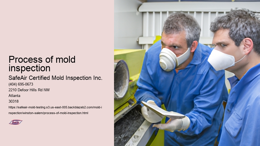 Process of mold inspection