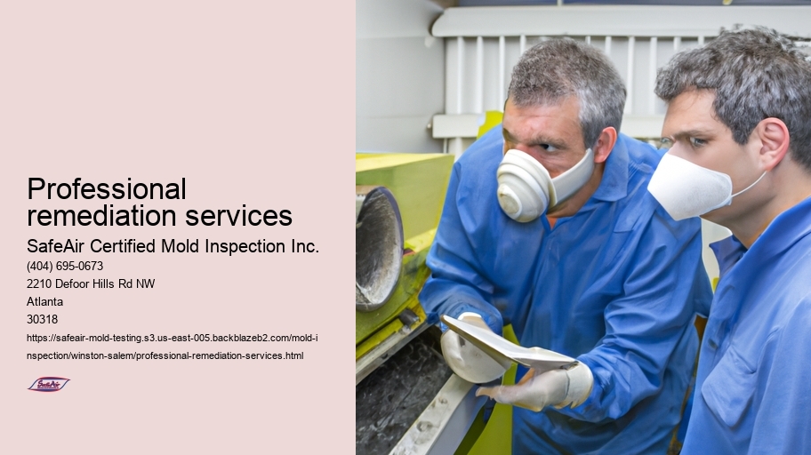 Professional remediation services