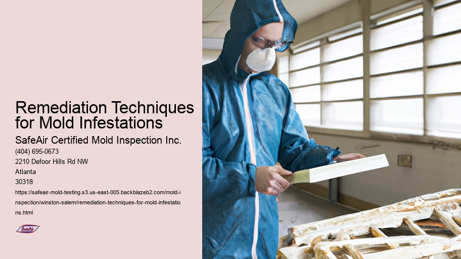 Remediation Techniques for Mold Infestations